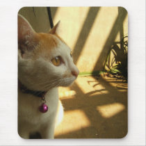 A Cat's Indulgence mousepads