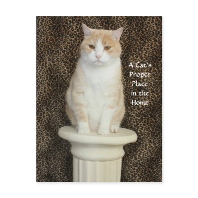 A Cat's Proper Place in the Home - 2nd Postcards by myrtieshuman