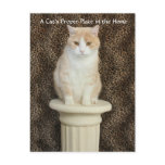 A Cat's Proper Place in the Home Postcards
