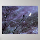 A Celestial Moment Print