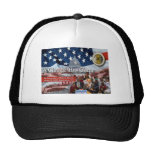 A Change Has Come - The 2009 Obama Inaugural Hats