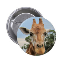 A Charming Giraffe Pins