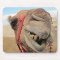 A Cheerful Camel Mouse Pads