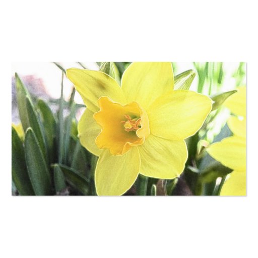 A Cheerful Yellow Daffodil Business Card Template (back side)