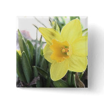 A Cheerful Yellow Daffodil Pins