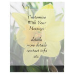 A Cheerful Yellow Daffodil Full Color Flyer