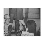 A Child Looking Up in Love for Mom and Dad Post Cards