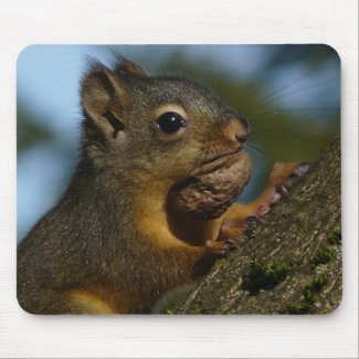 A Chipmunk's Treasures mousepad