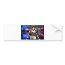 a choice_Painting.jpg Bumper Sticker