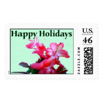 A CHRISTMAS CACTUS... postage
