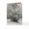 a christmas card by SAPPYJIM a christmas card