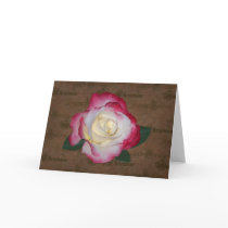 A Christmas Rose cards by Judith_Heath A Christmas Rose cards