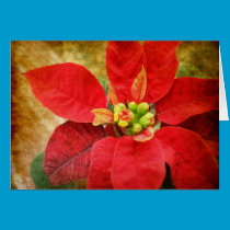 A Christmas Thank You cards