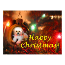 A Christmas Wish posters by catchthenextwave A Christmas Wish posters