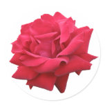 A Classic Red Rose Round Stickers