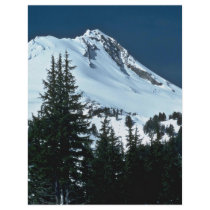 A Clear Day Of Snow Custom Flyer