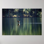a clear day poster