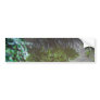 A Clear Reflection Bumper Stickers