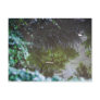 A Clear Reflection Postcard