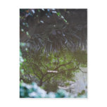 A Clear Reflection Postcard