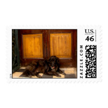 A close friend postage by Anca_pui A close friend postage