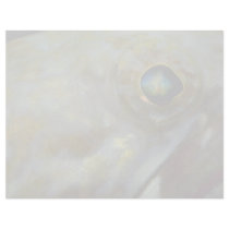 A close look at the eye of a Caribbean sand diver Custom Letterhead