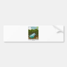 A Closer Look At A Food Web (Biology / Ecology) Bumper Stickers