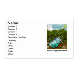 A Closer Look At A Food Web (Biology / Ecology) Business Card Template