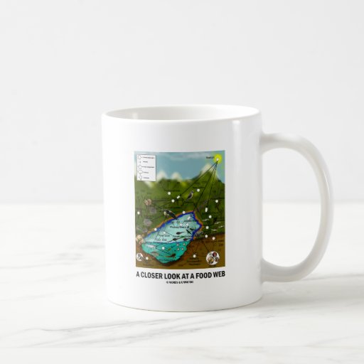 A Closer Look At A Food Web (Biology / Ecology) Coffee Mugs