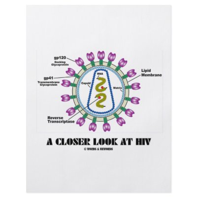 A Closer Look At HIV (Viron Virology) Personalized Flyer by wordsunwords