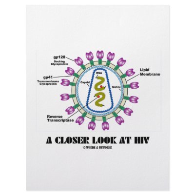 A Closer Look At HIV (Viron Virology) Letterhead by wordsunwords