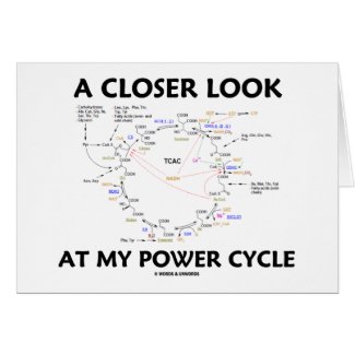 A Closer Look At My Power Cycle (Krebs Cycle) card