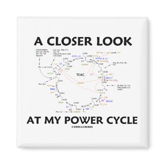 A Closer Look At My Power Cycle (Krebs Cycle) magnet