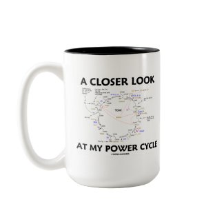 A Closer Look At My Power Cycle (Krebs Cycle) mug