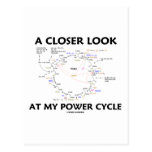 A Closer Look At My Power Cycle (Krebs Cycle) Post Cards