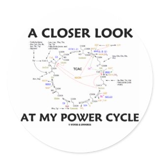 A Closer Look At My Power Cycle (Krebs Cycle) sticker
