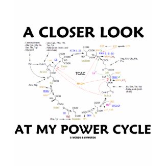 A Closer Look At My Power Cycle (Krebs Cycle) shirt