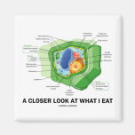 A Closer Look At What I Eat (Plant Cell) Fridge Magnets