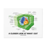 A Closer Look At What I Eat (Plant Cell) Postcard