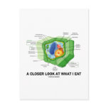 A Closer Look At What I Eat (Plant Cell) Postcards