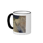 A cloud of tan dust from Saudi Arabia Coffee Mugs