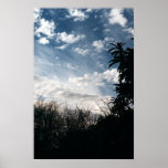 a cloudy backyard print