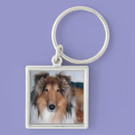 A Collie keychains