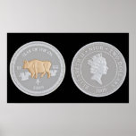 A commemorative silver coin posters