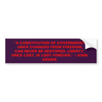 "A CONSTITUTION OF GOVERNMENT ONCE CHANGED FROM FR BUMPER STICKER