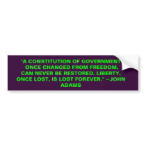 "A CONSTITUTION OF GOVERNMENT ONCE CHANGED FROM FR BUMPER STICKERS