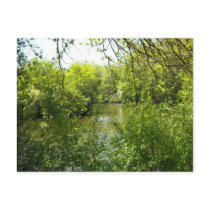 A cottage tucked away postcards
