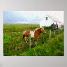 A Country Horse Print