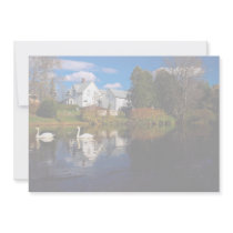 A couple of swans in pond, Ayer's Cliff, Quebec, C Personalized Invitation