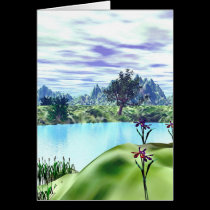 A Cove cards